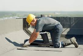 Best Skylight Installation and Repair  in Scandia, MN